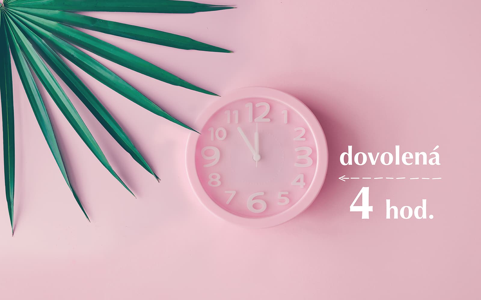 Sdílená pracovní místa