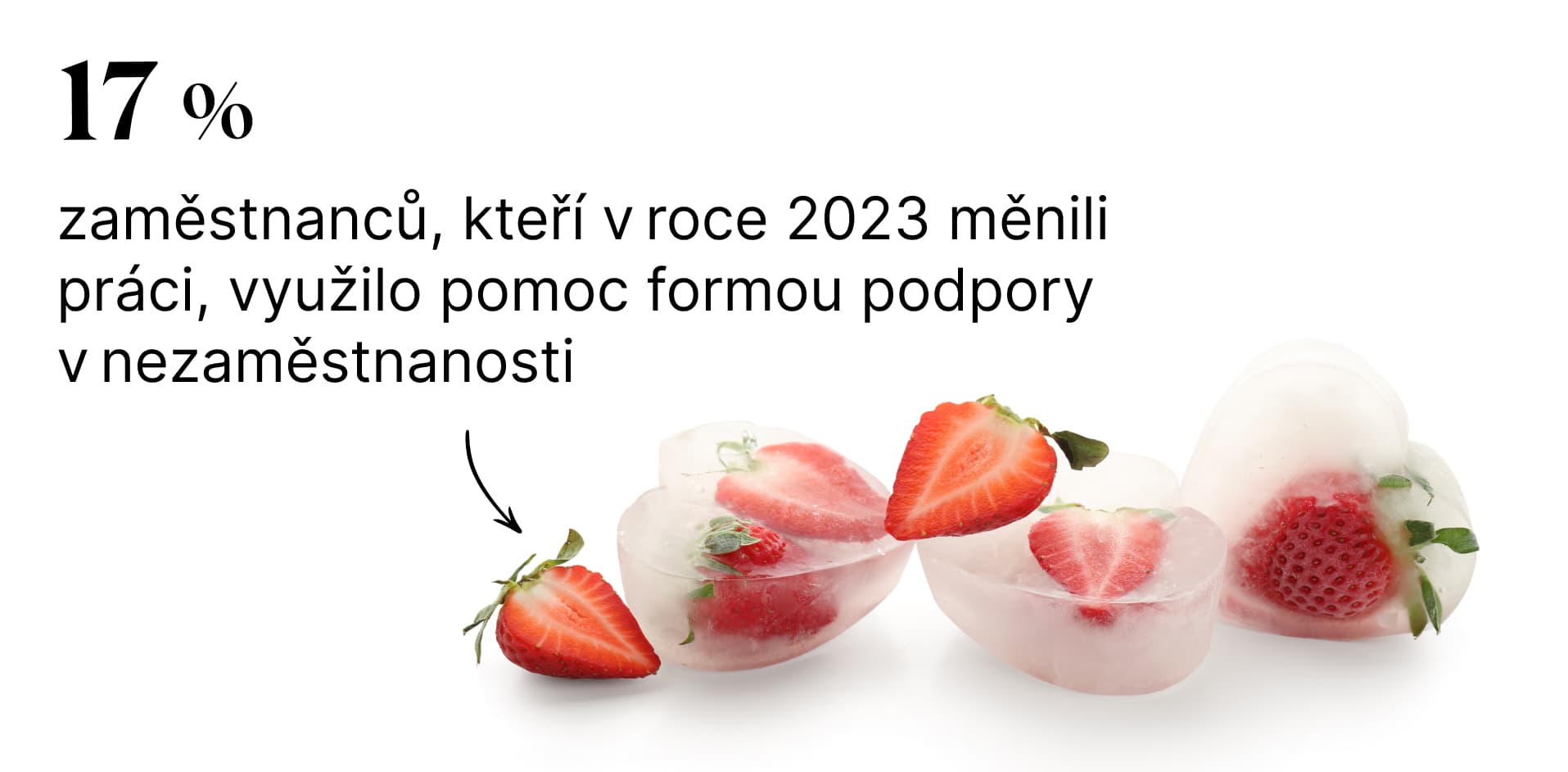 Zdroj: JobsIndex, jaro 2024, ČR