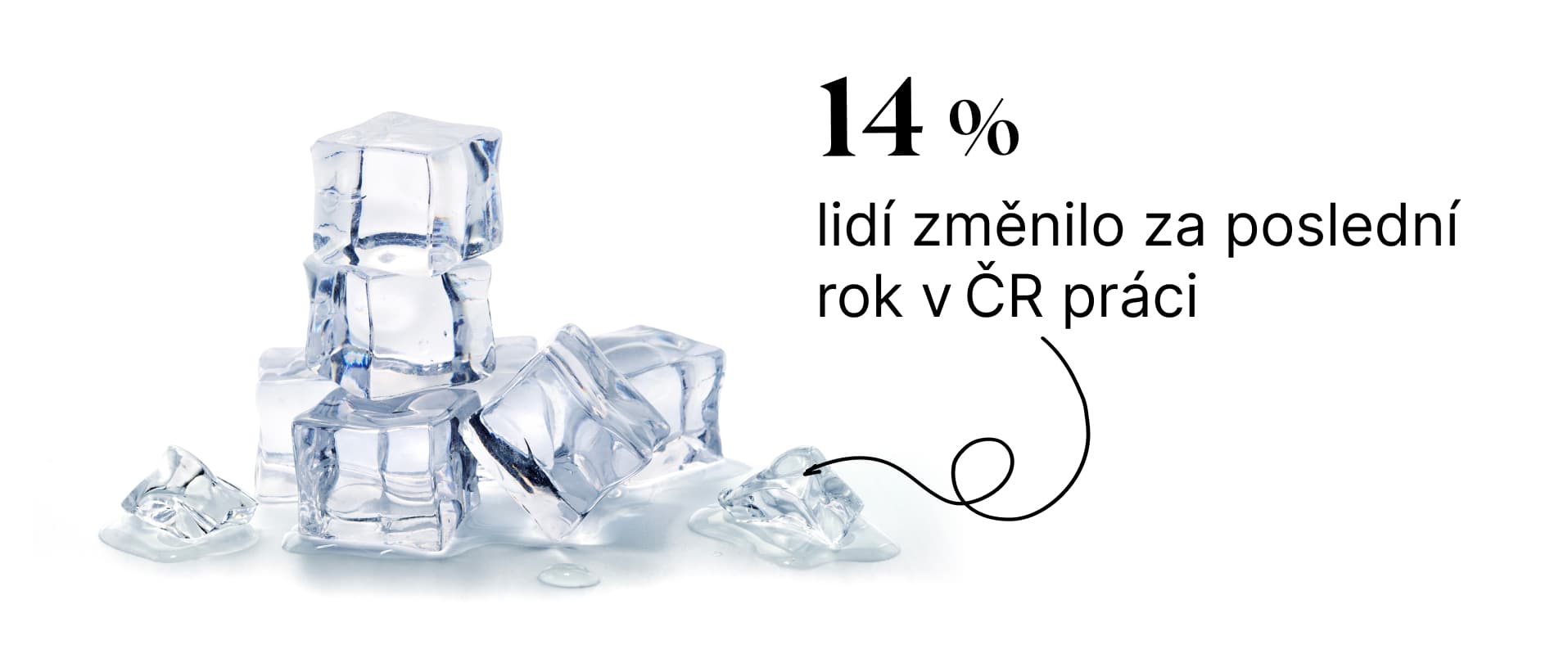 Zdroj: JobsIndex, jaro 2024, ČR
