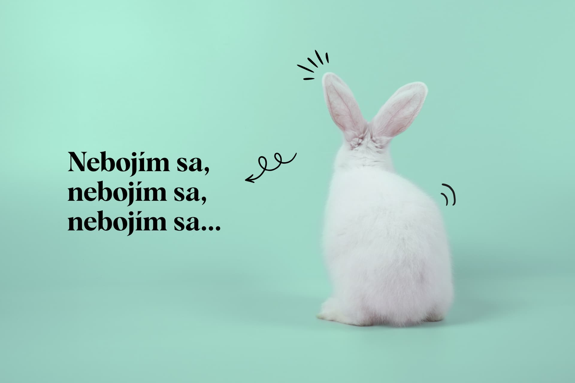 Strach z odmietnutia a práca