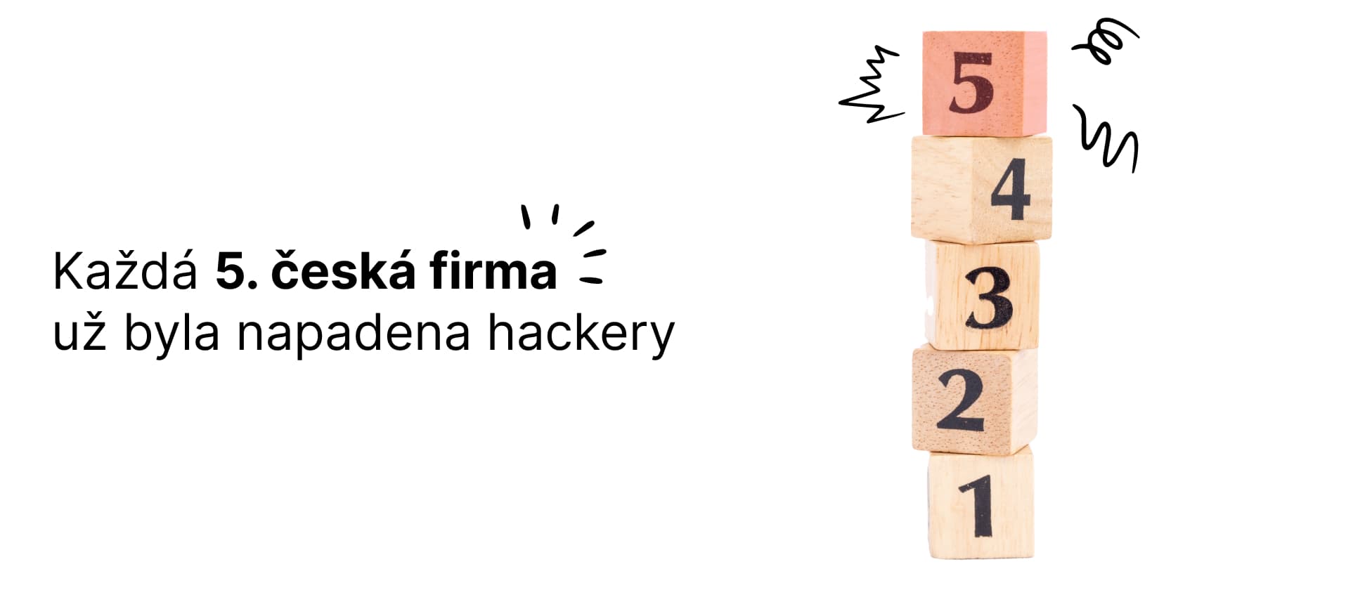 Zdroj: Průzkum Ipsos pro Appsec, 2024