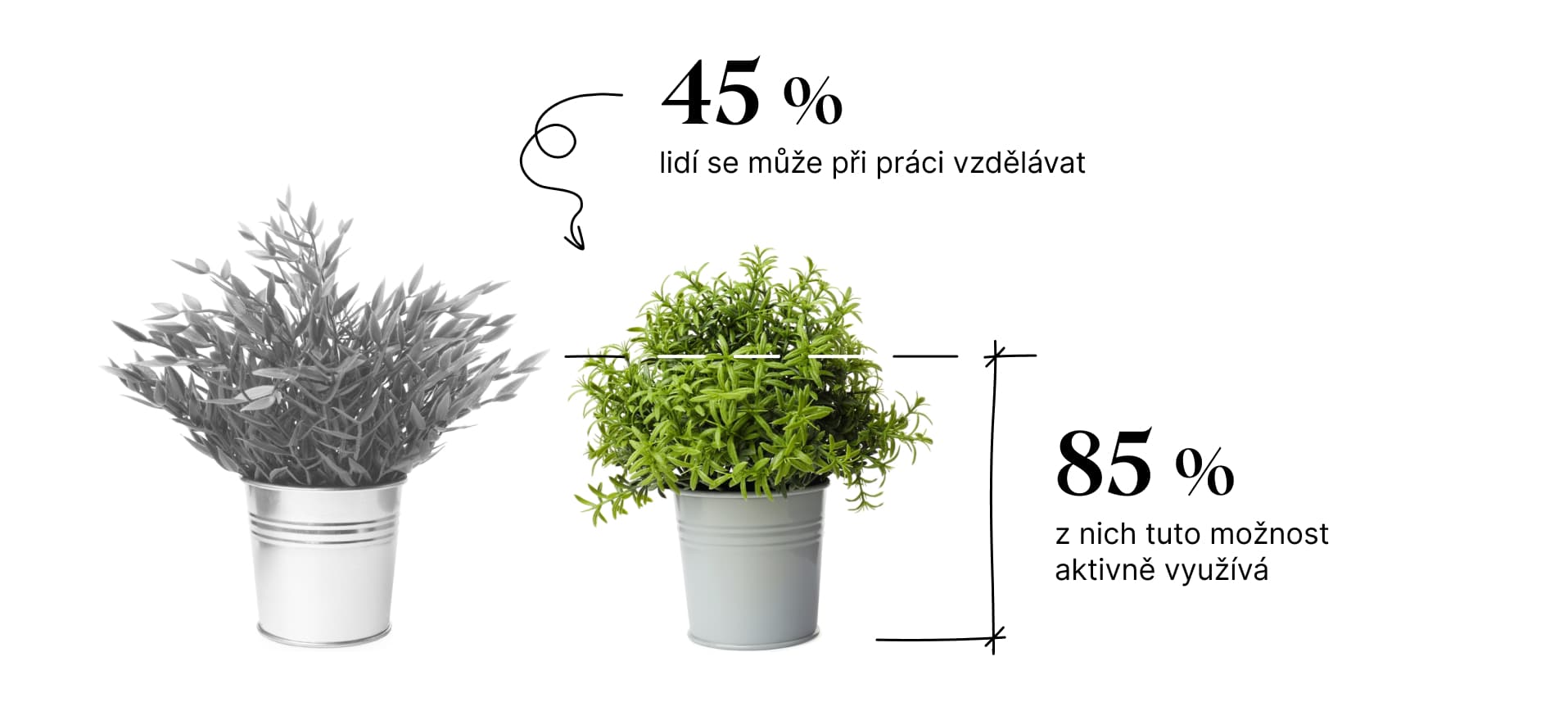 Zdroj: JobsIndex, podzim 2023