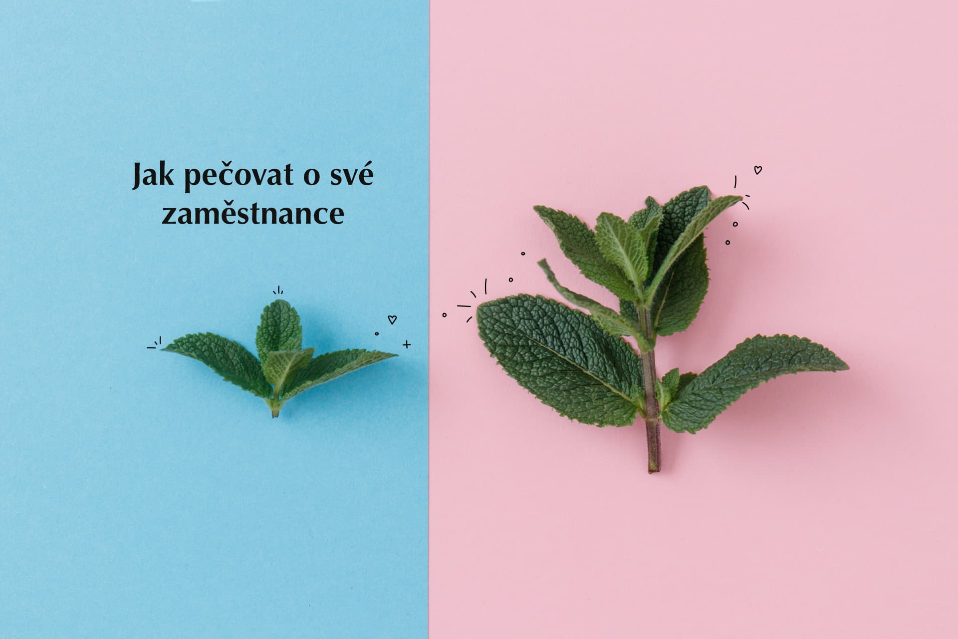 Jak si udržet zaměstnance