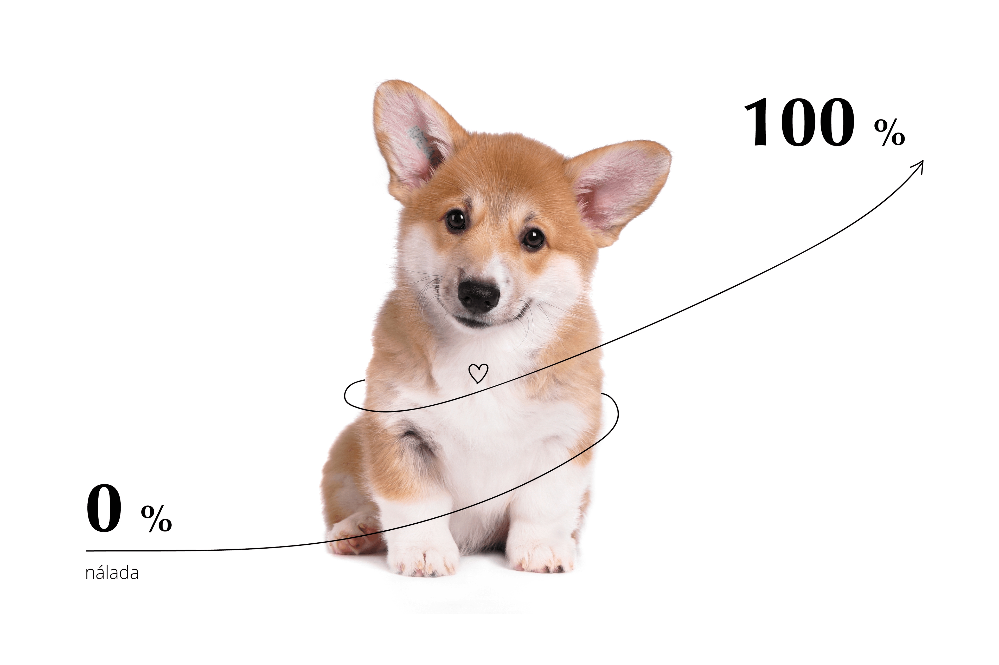 Mazlíčkem proti stresu