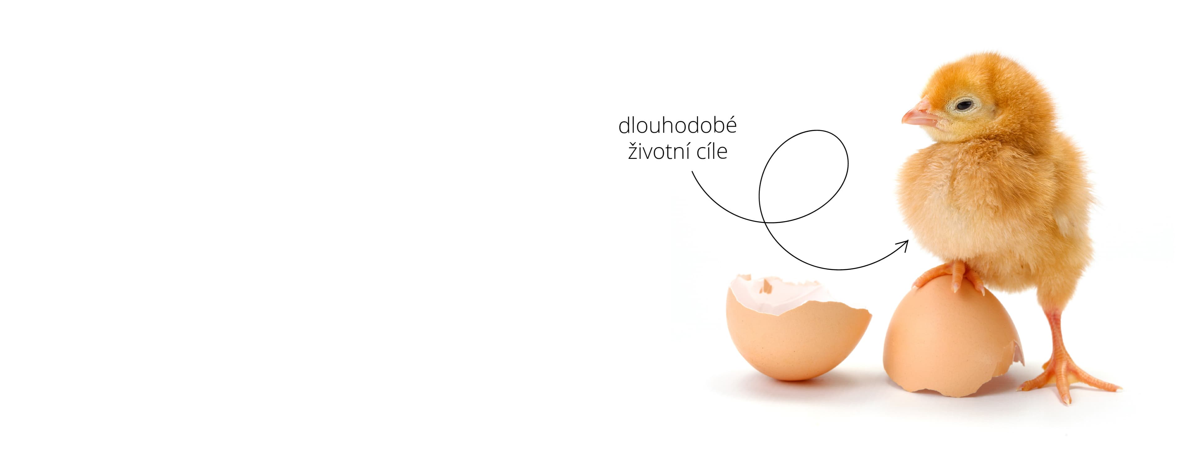 Dlouhodobé životní cíle