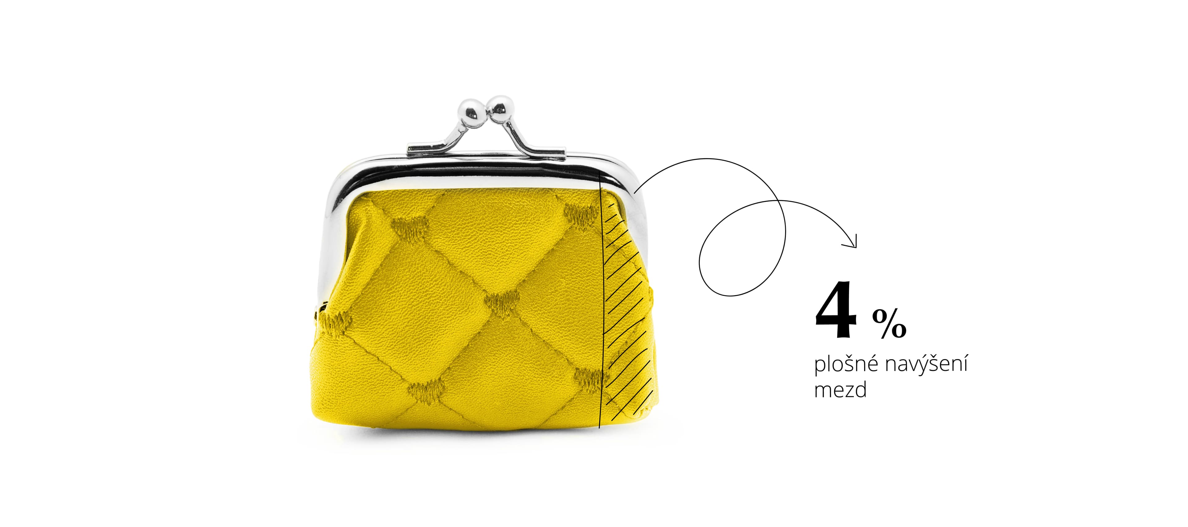 Plošné navýšení mezd