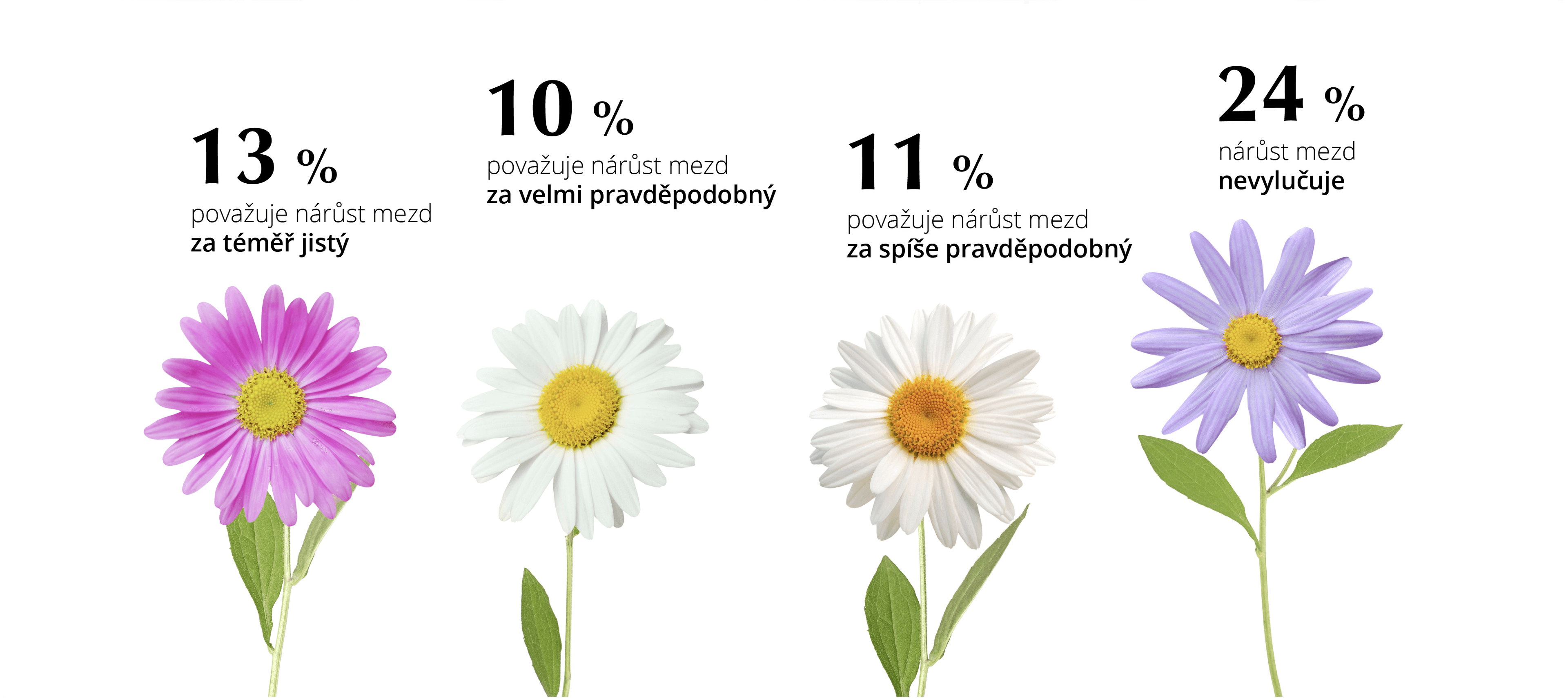 Pravděpodobnost navýšení mzdy