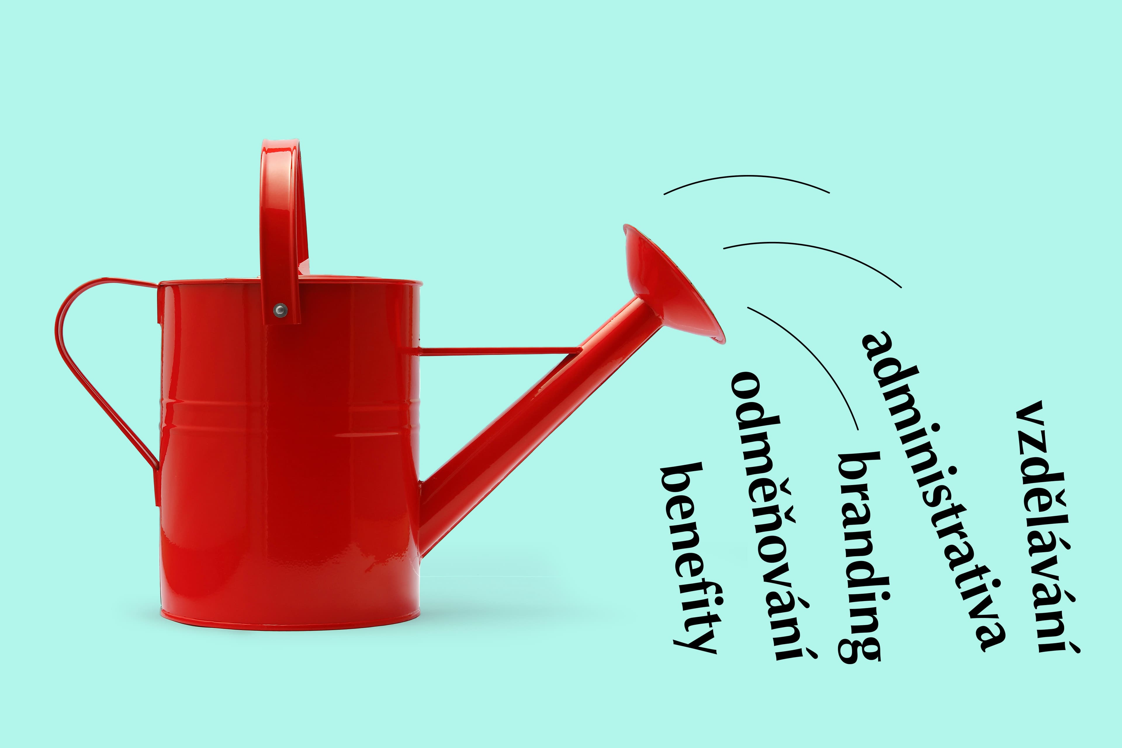 Význam HR ve firmě