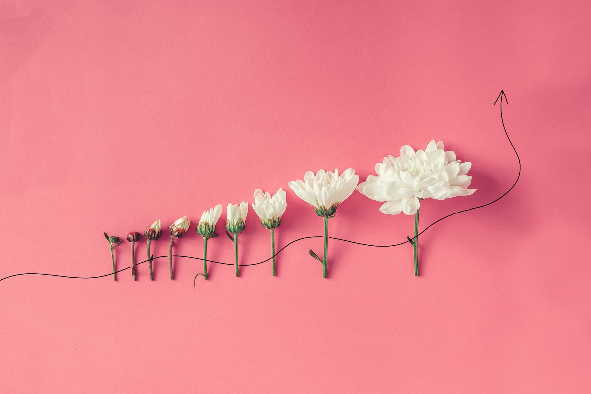 Vývoj mezd ČR 1993 –2023