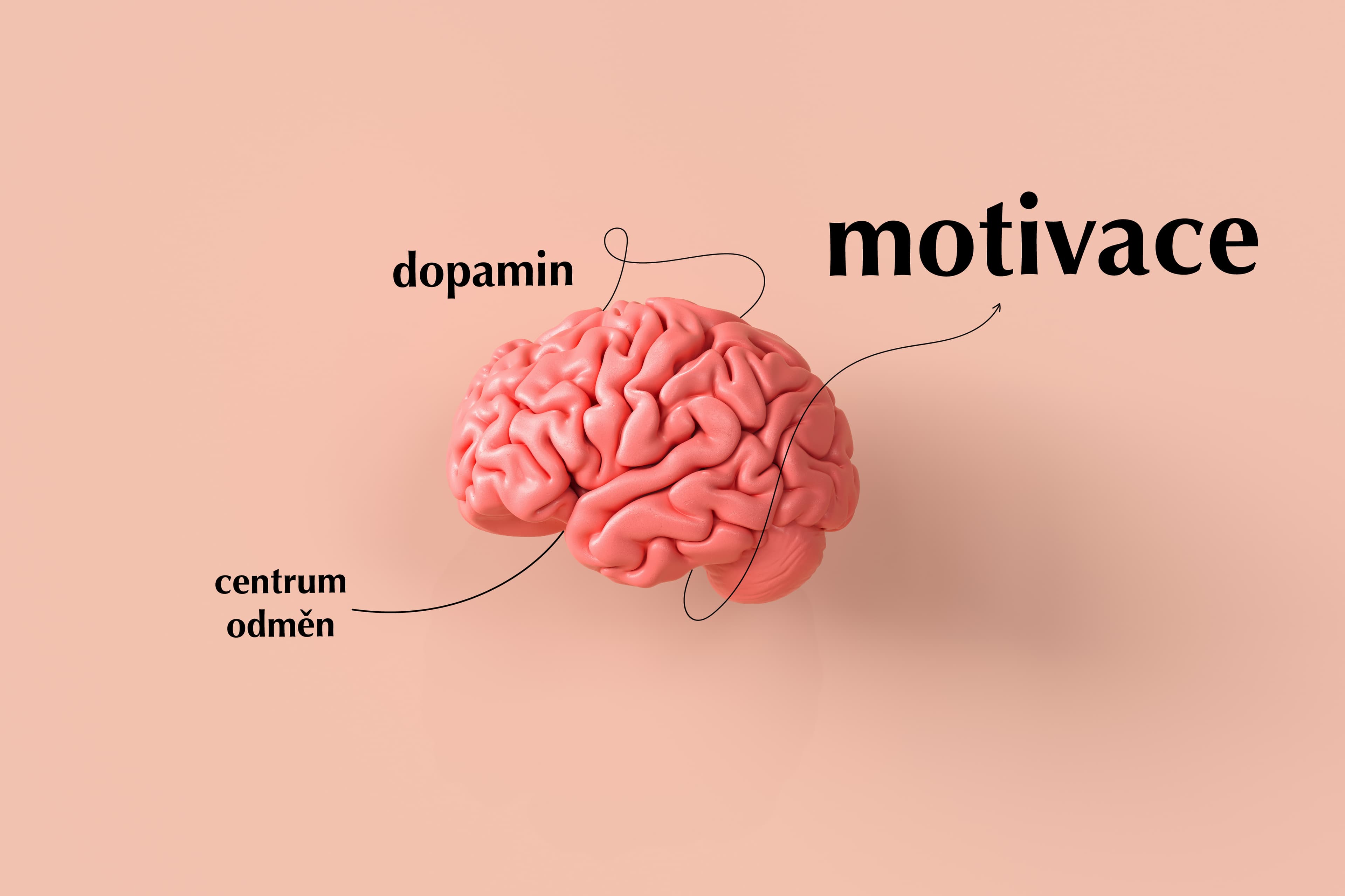 Jak motivovat zaměstnance