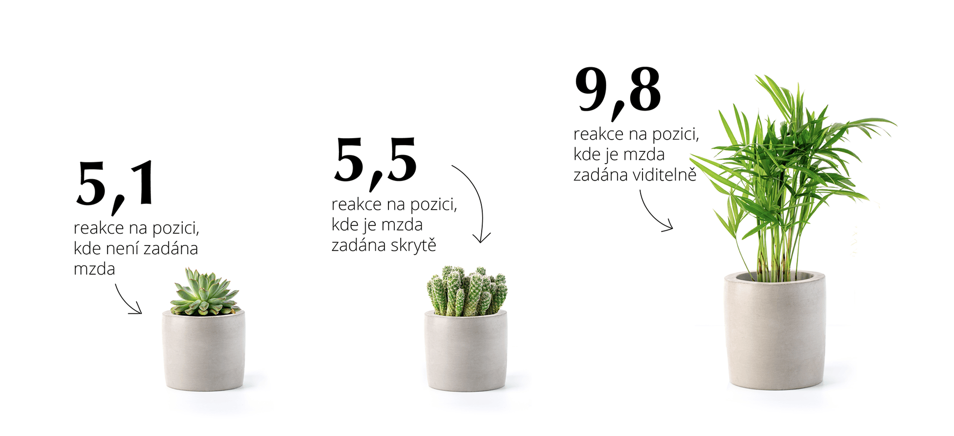 Průměrný měsíční počet reakcí na pozici