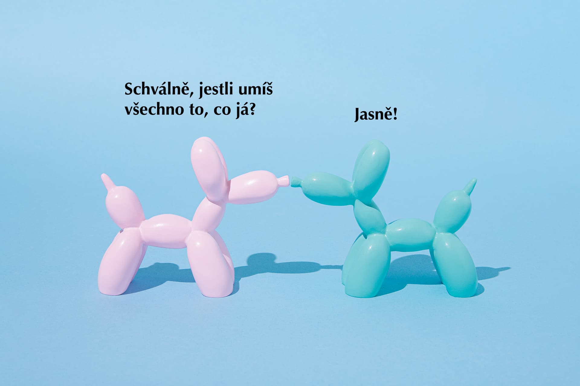 Náborové chyby v IT