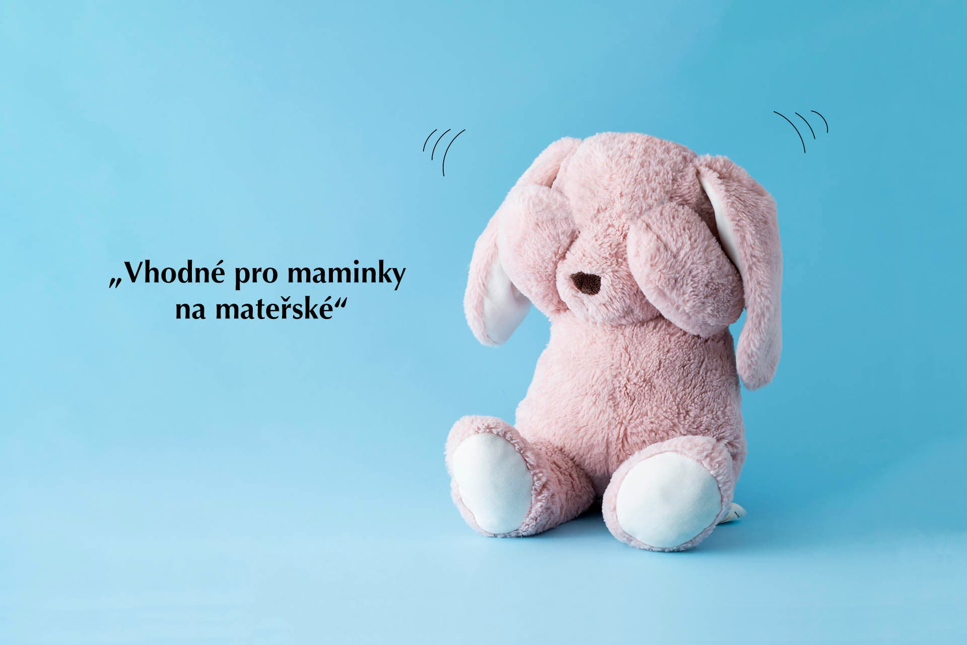 Diskriminace v inzerátech