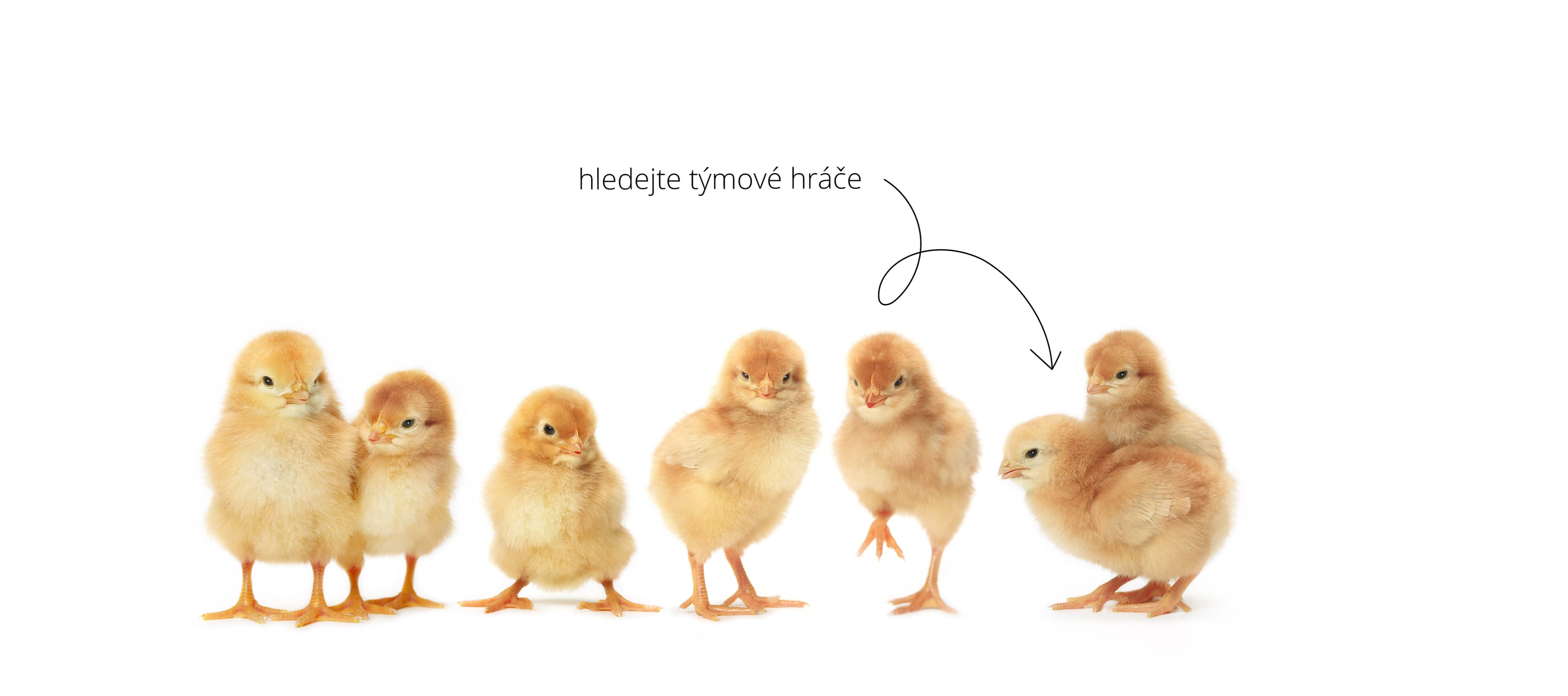 Týmový hráč