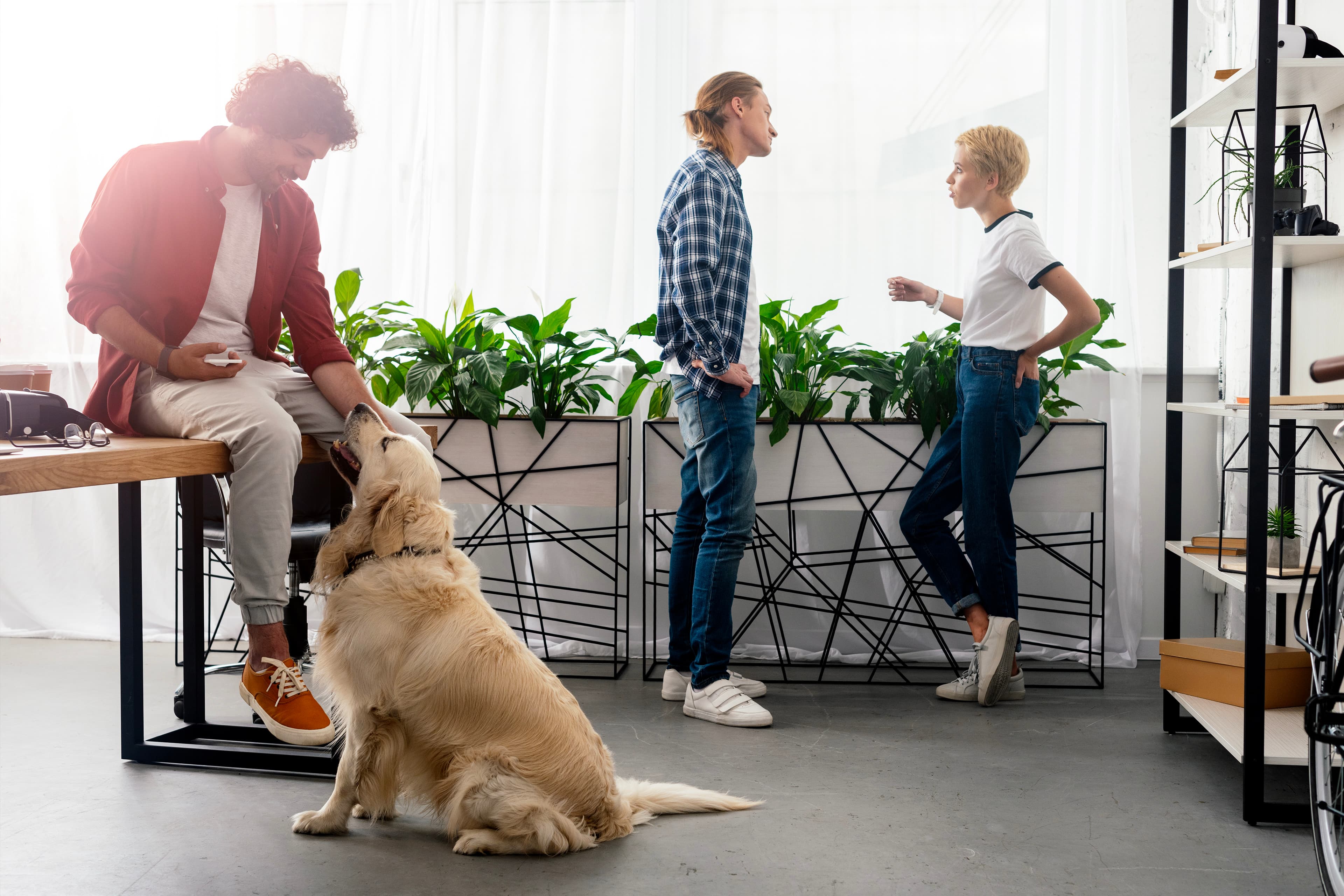Dog-friendly office