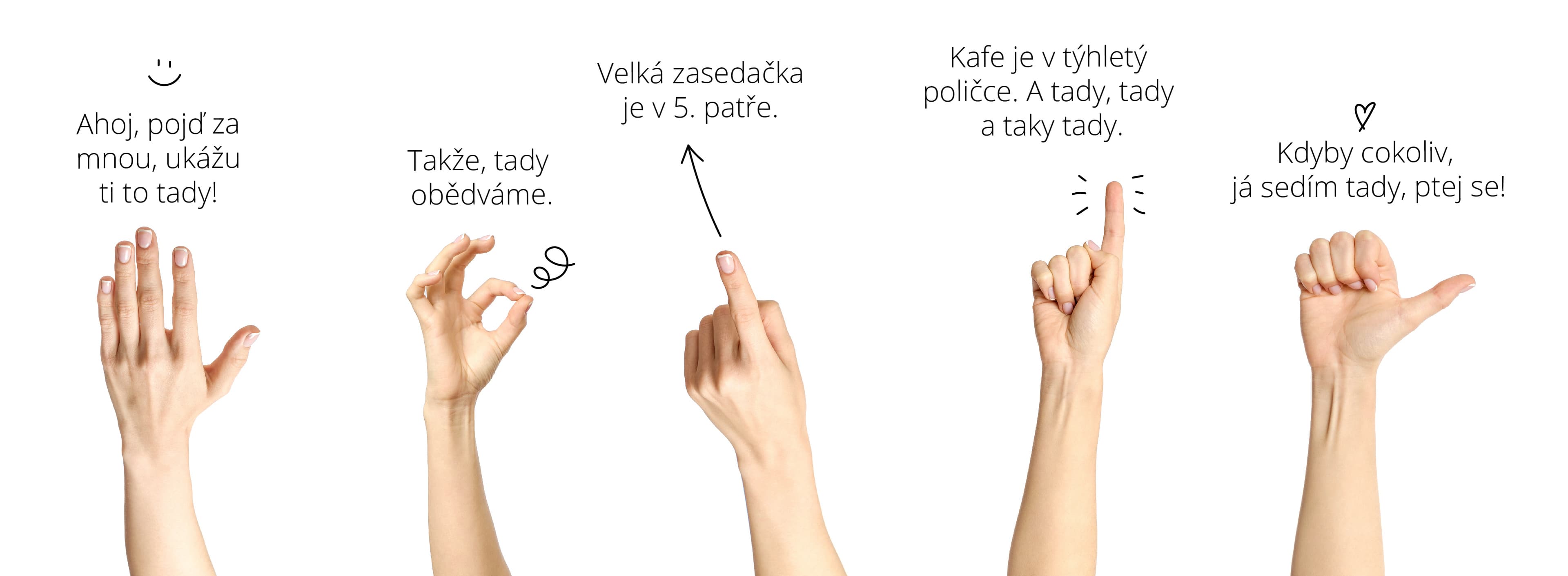 Buddy pro nováčka
