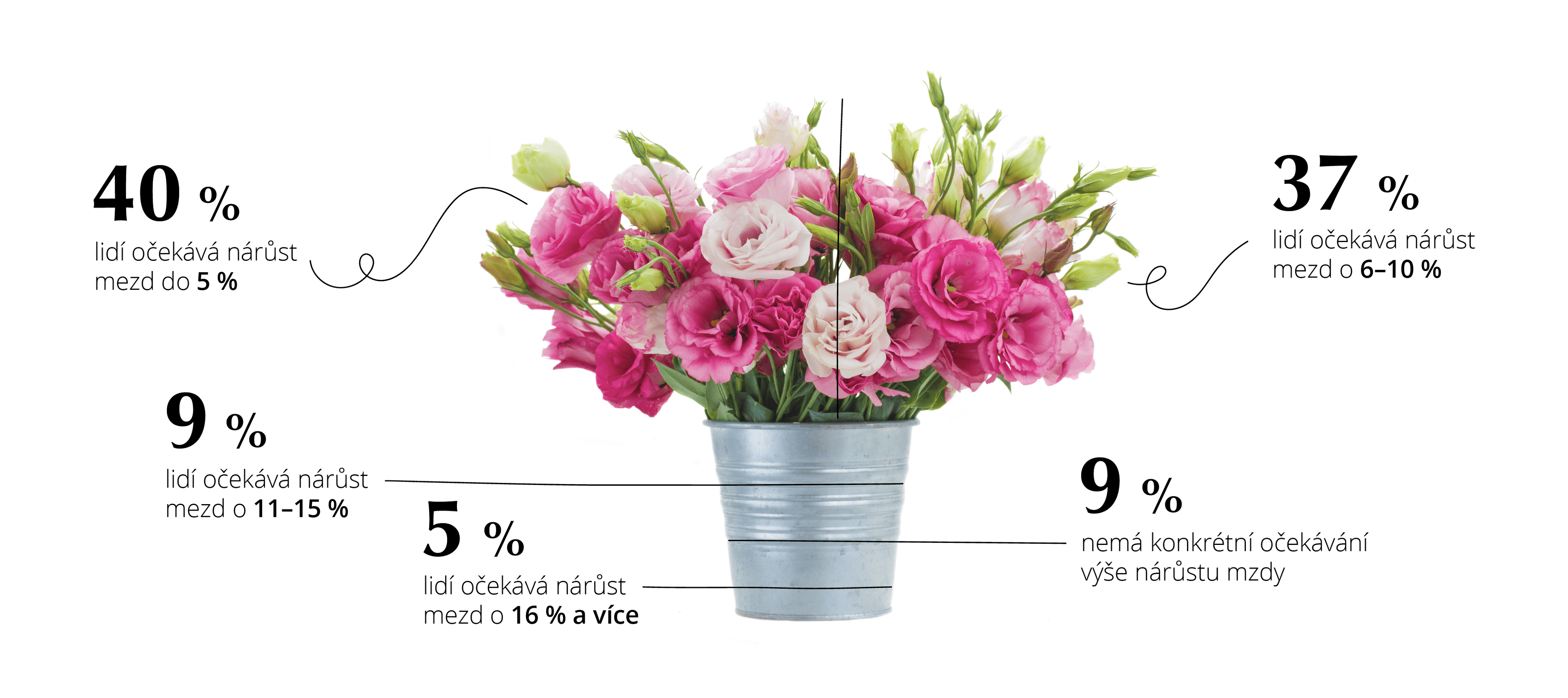 Očekávaná výše nové mzdy