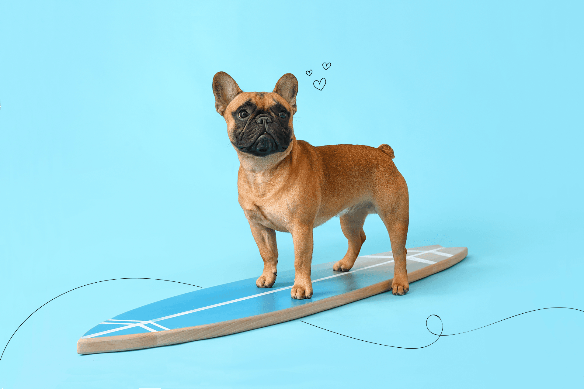 Netradiční zaměstnání