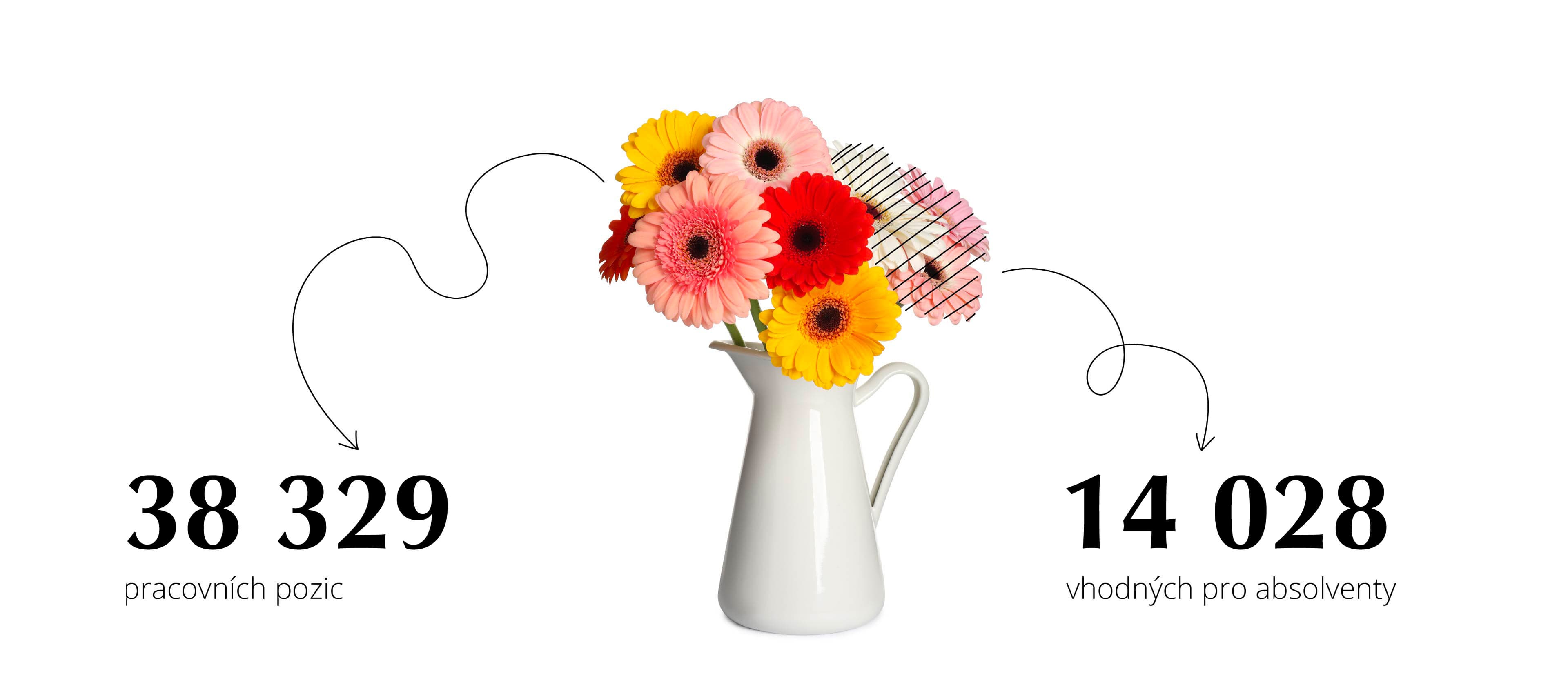 Zdroj: Jobs.cz, červenec–září 2023