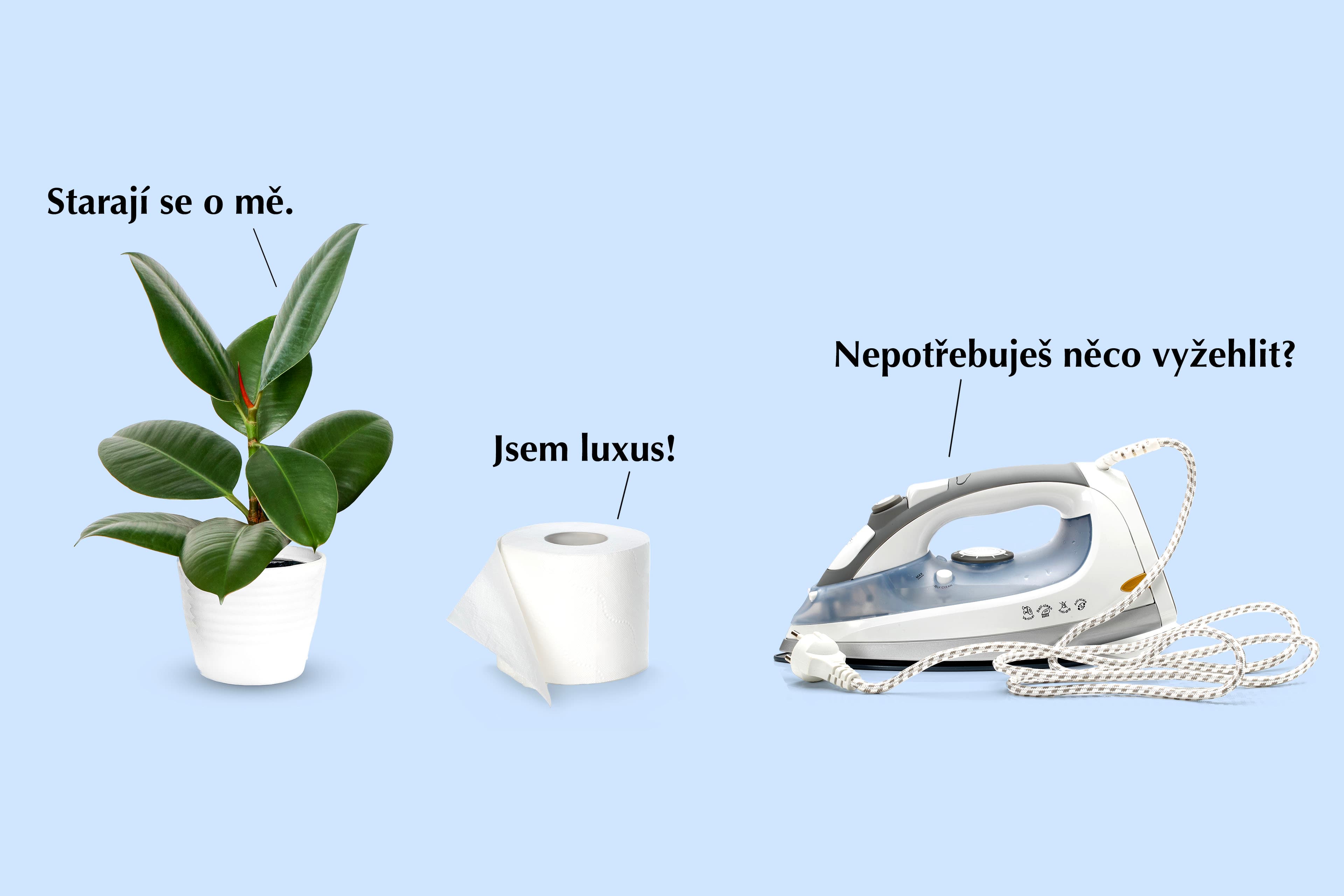 Zabydlení v kanceláři