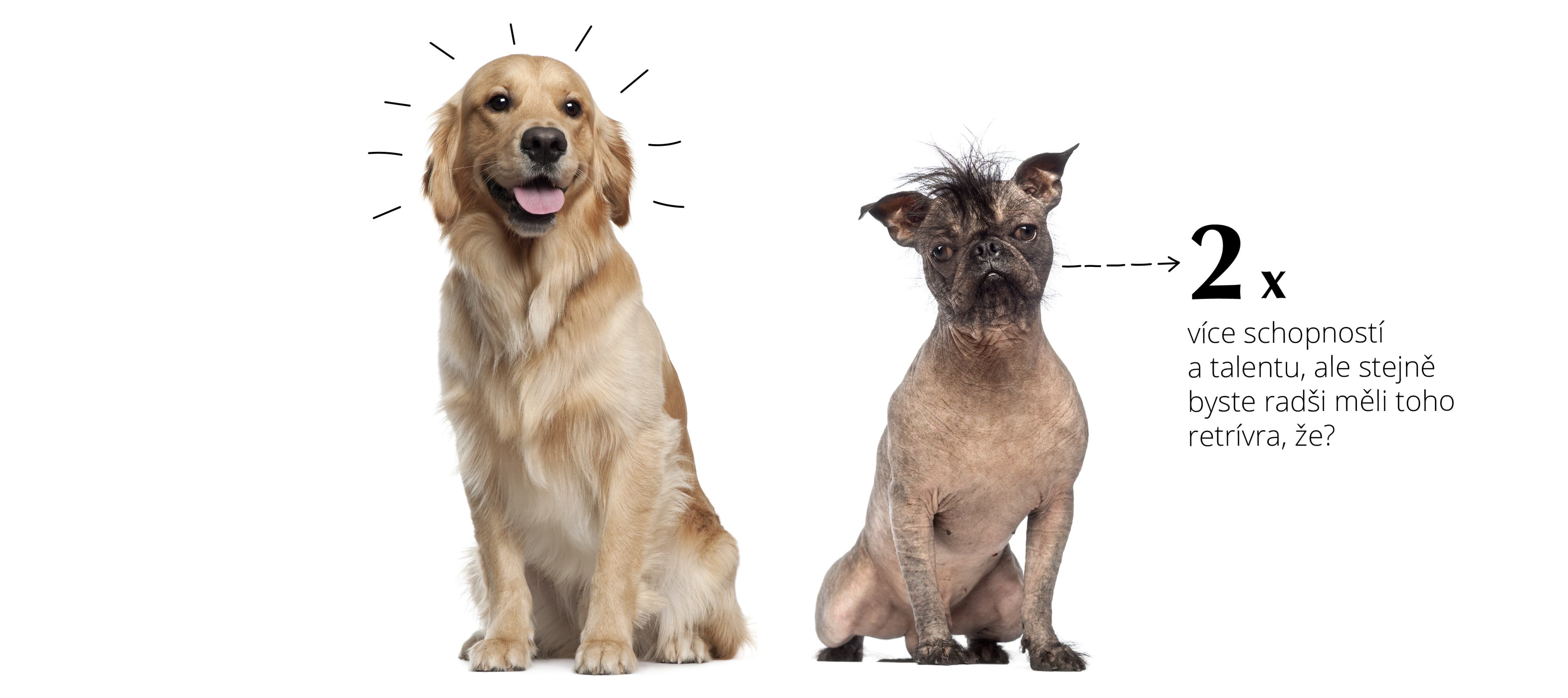 Nedejte na první dojem