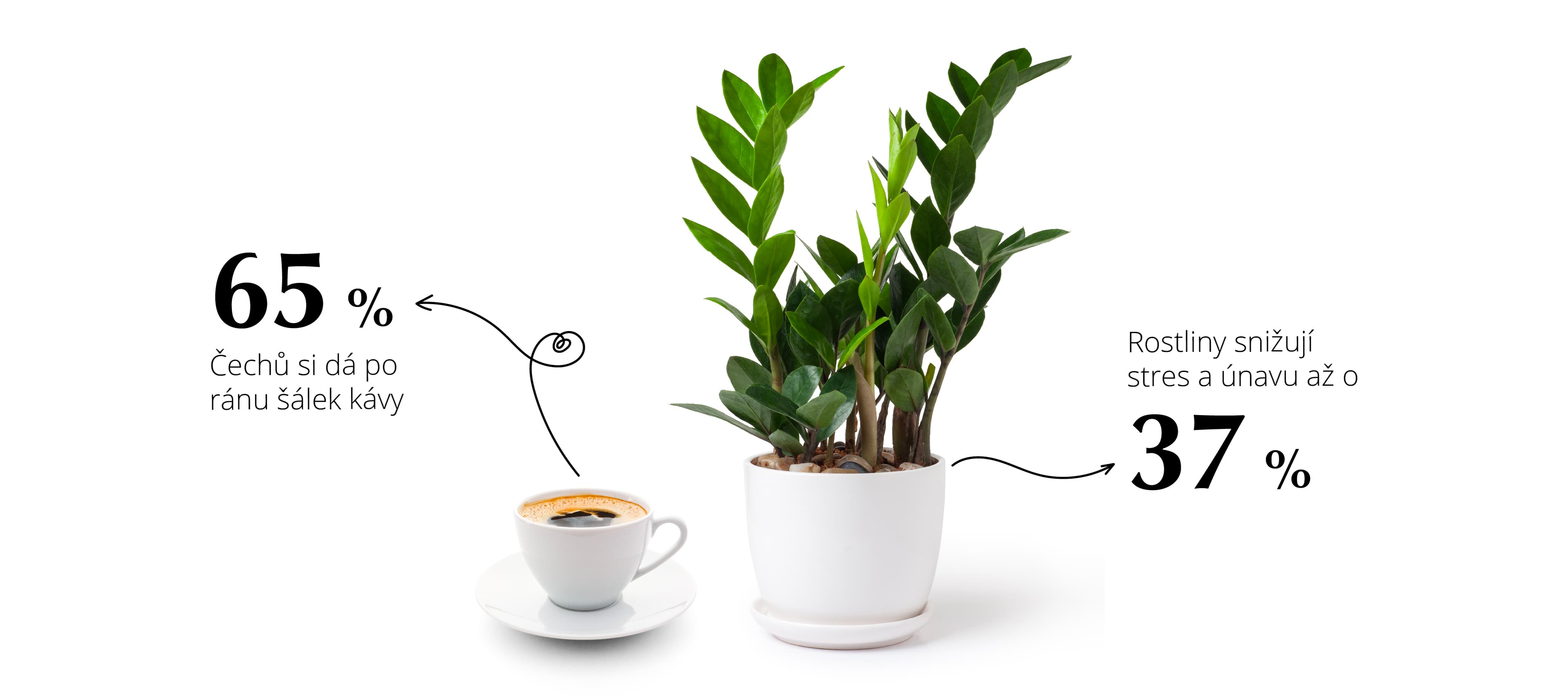 Well-being ve firmě