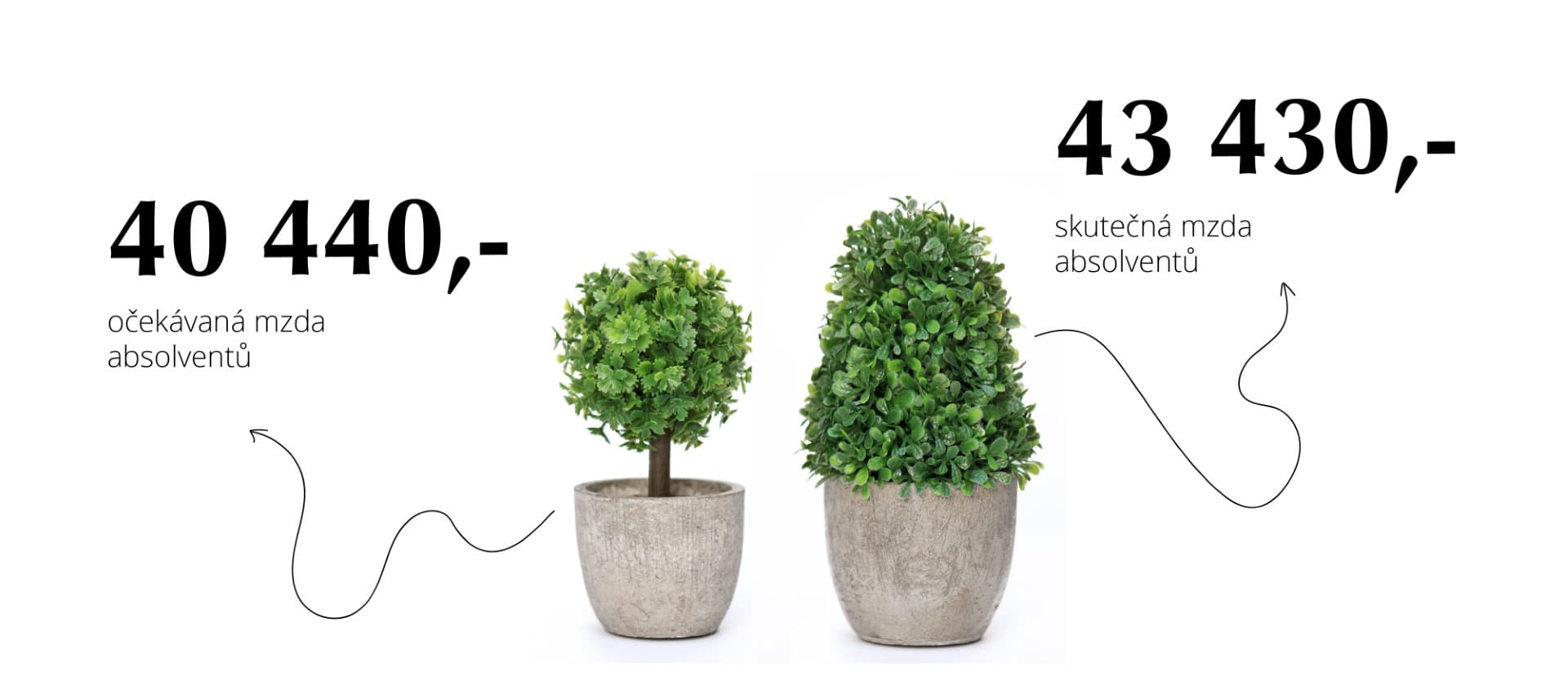 Mzdová očekávání vs. realita