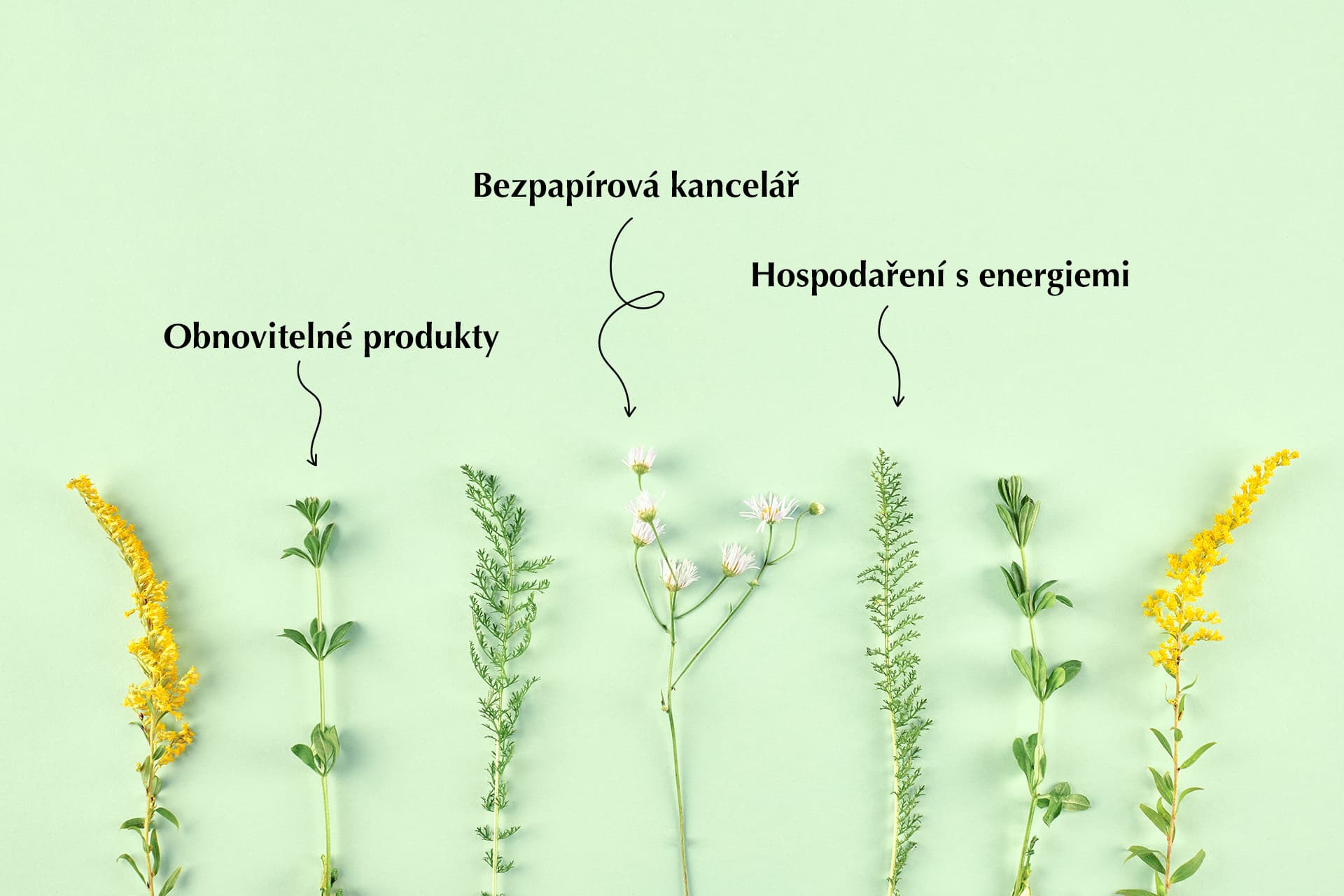 Udržitelnost ve firmách