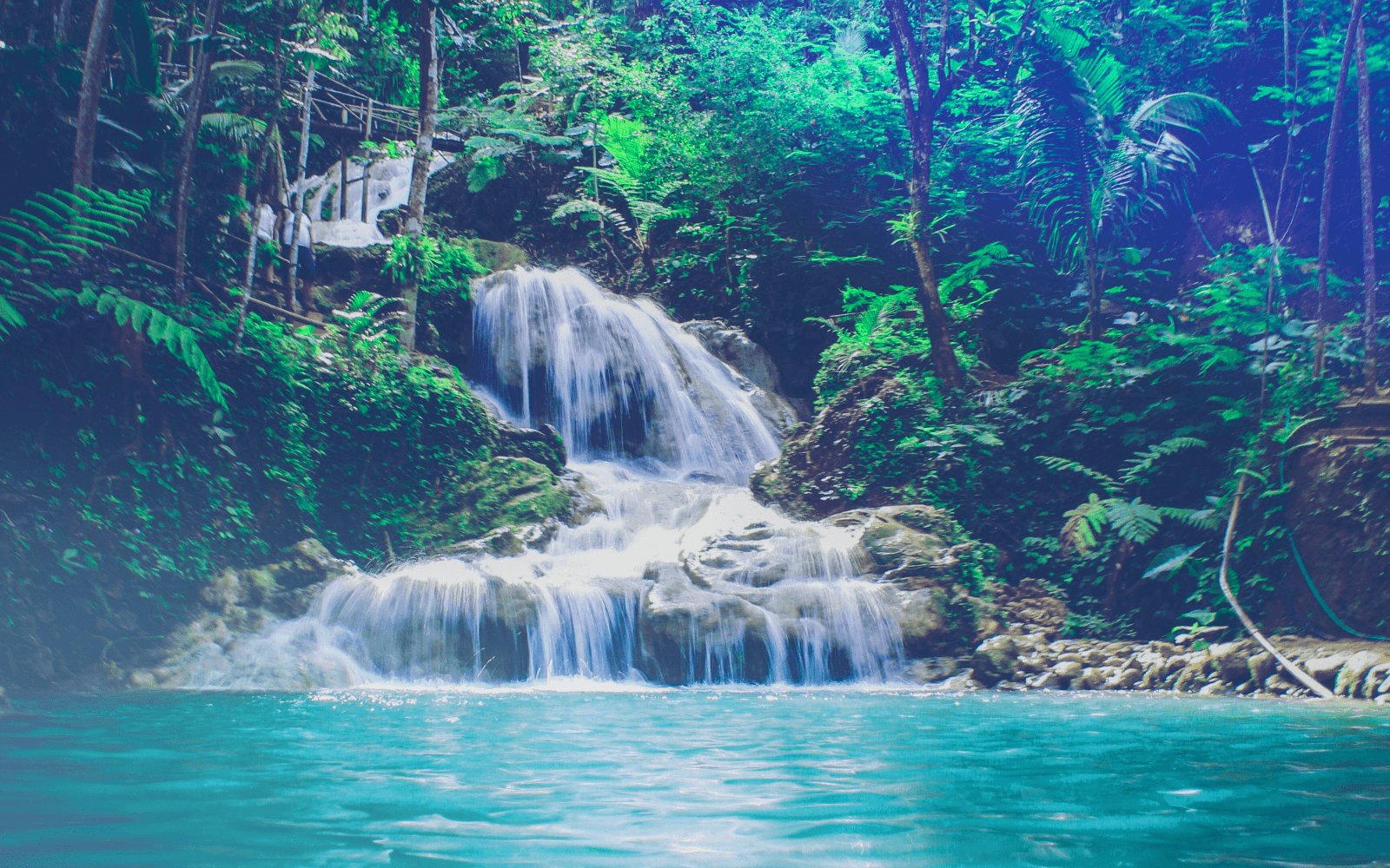 Pracovní portály LMC