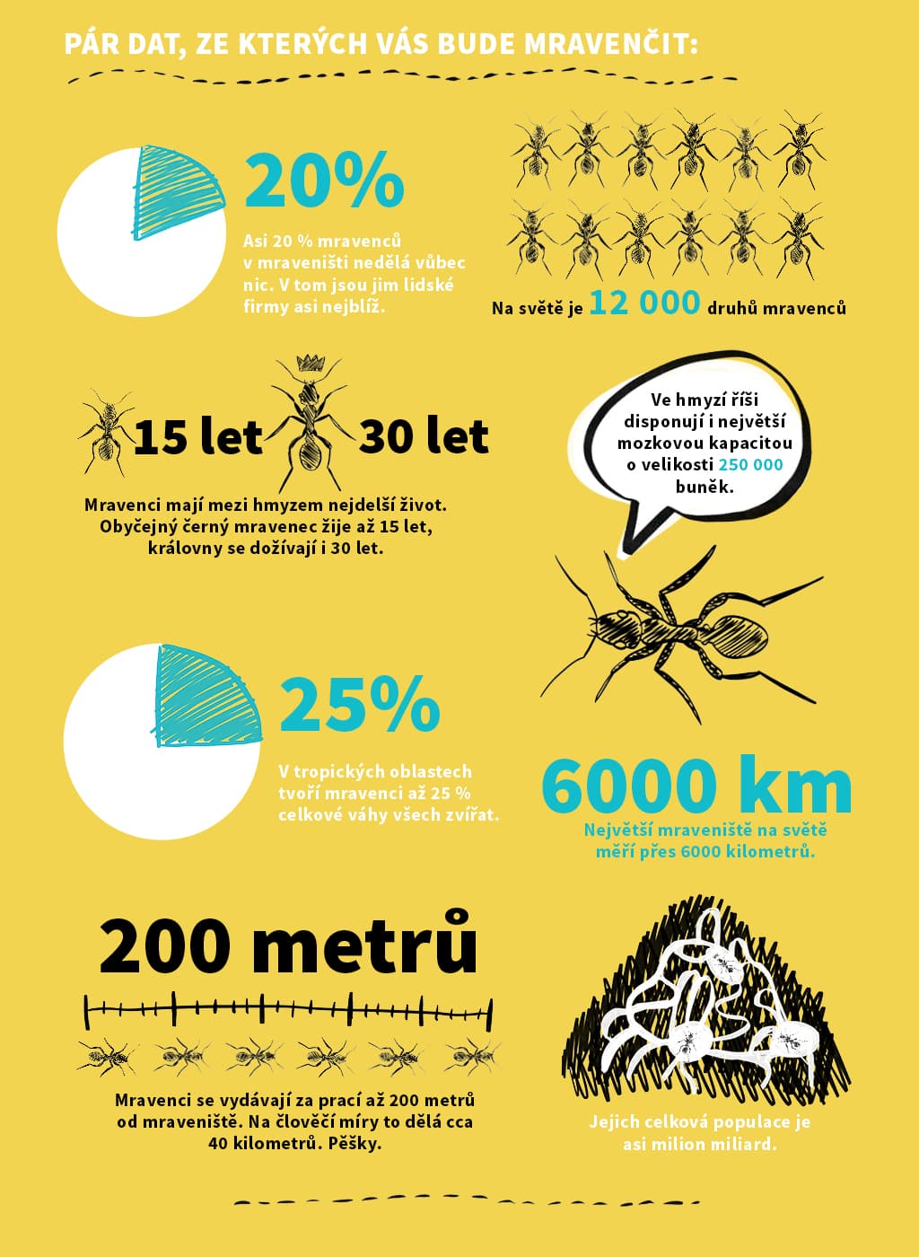Infografika o práci mravenců