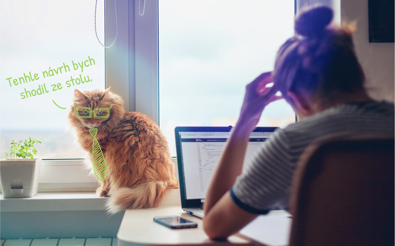 Pet-friendly kancelář