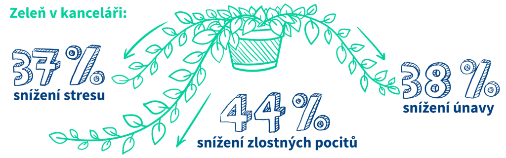 Rostliny snižují stres