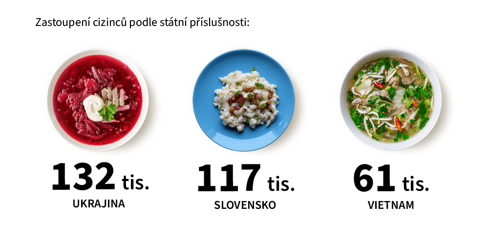 Zastoupení cizinců podle příslušnosti